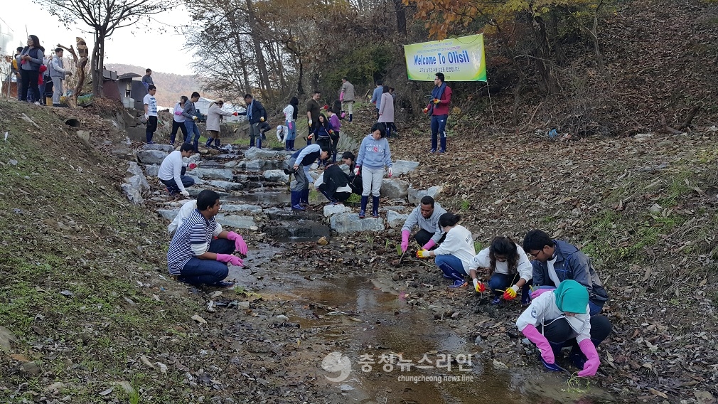 2016년 도랑(실개천)살리기 운동 평가 최우수 기관 선정