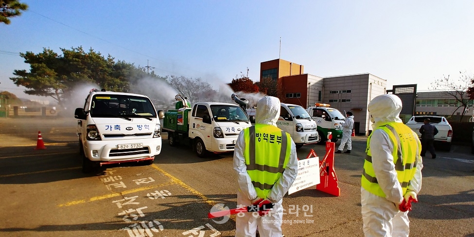 ▲충북 영동군 종오리 농장에서 고병원성 조류인플루엔자 검출돼 방역당국이 긴장하고 있다./충청뉴스라인DB